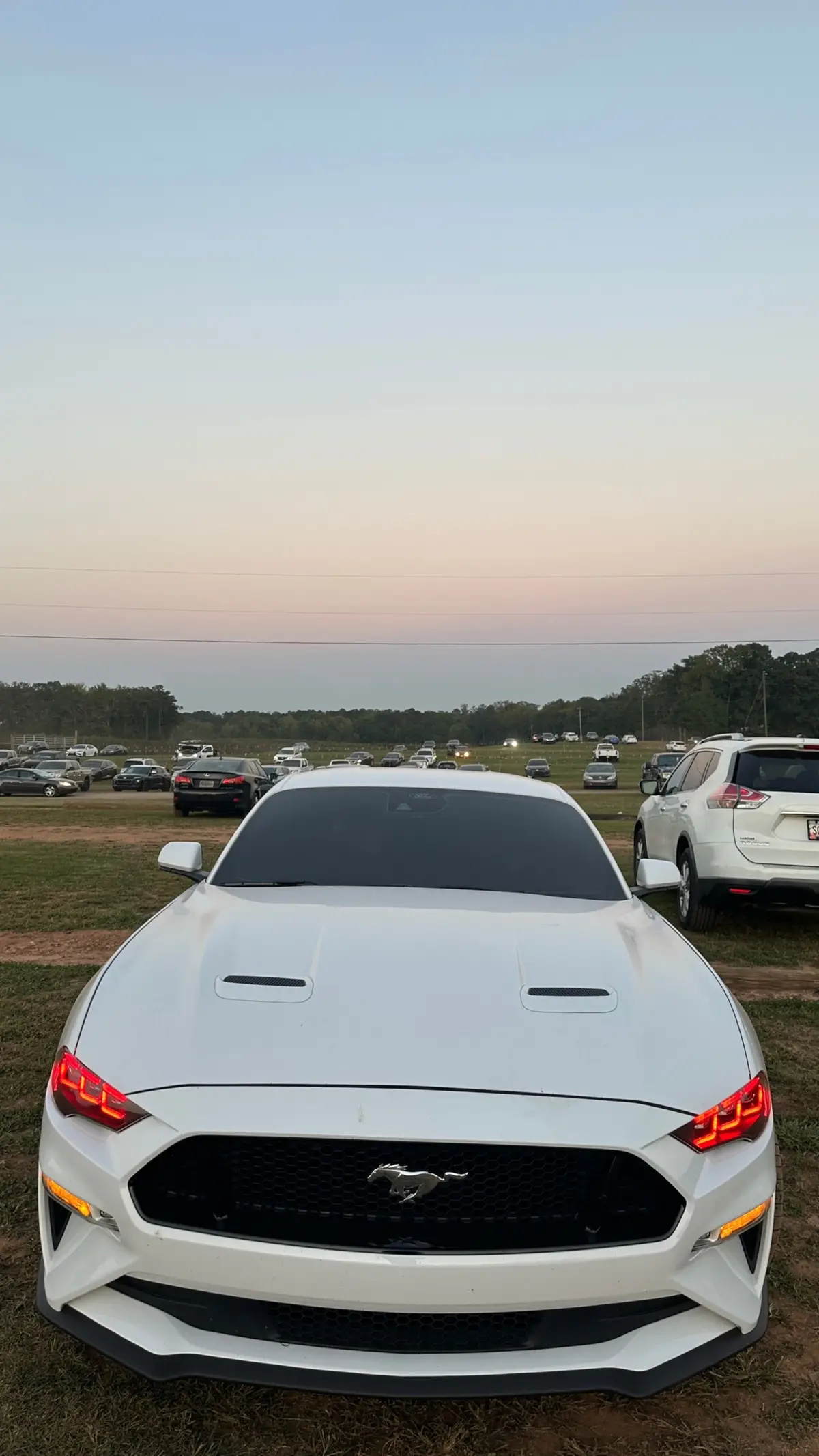 Corn maze was light work #s550 #basemodelactivities #mustanggt #oxfordwhite #5oh #Ford #mustang #corsa #Roush #10speedauto #10r80 #hellhorseperformance #insta360x3 