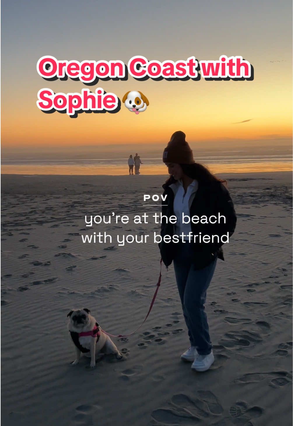 My favorite things: hanging out with sophie, being at the beach and watching an amazing sunset 🌅 #oregoncoast 