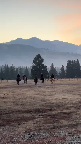 Gathered, shipped and the cows are home on the ranch  for the winter!! 🤠🏔️ @Thexton Cowboys @Jason&kayla.meppelink  #fallshipping #roundup #cowboying #montana #ranching #mountains #blessed #cattle #horseback #fyp #yellowstonetv #yellowstone #foryou 