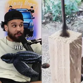 #podcast #podcastclips #foryoupage #tools #fyp #fypシ゚viral #fypシ #Woodworking #makeupstorytime #comedians 
