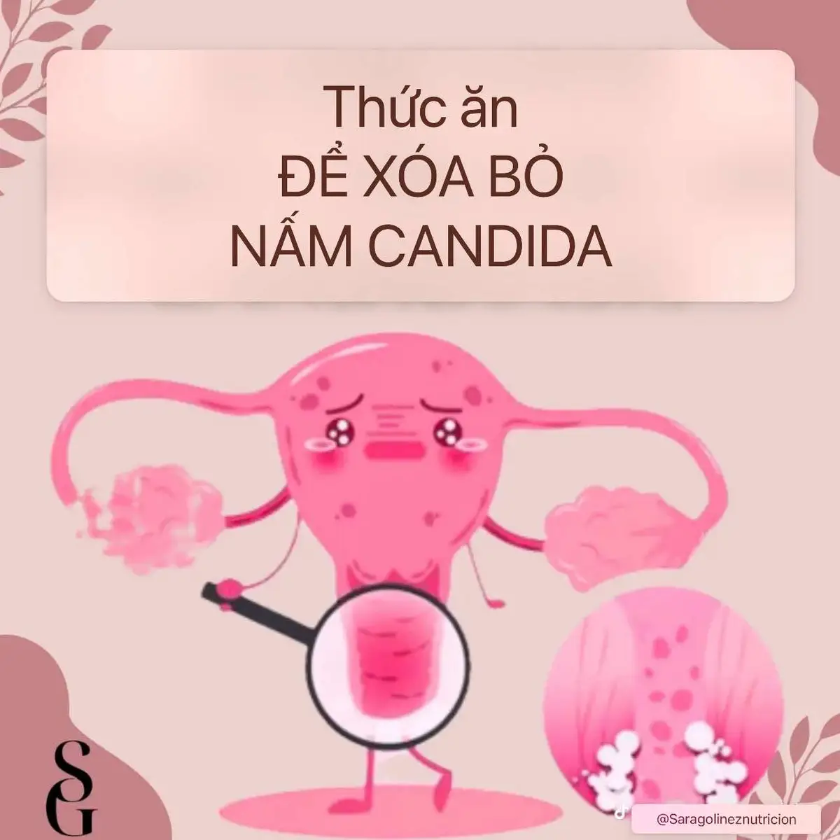 Để xử lý candida tận gốc thì ngoài các biện pháp tại chỗ để giảm ngứa, hết viêm, diệt nấm khuẩn thì điều quan trọng là có 1 chế độ ăn uống lành mạnh. Đây là những loại thực phẩm đẩy lùi nấm khuẩn candida #mẹcỏ🌿 #candida #kysinhtrung #namcandida #nấm #ngứa 