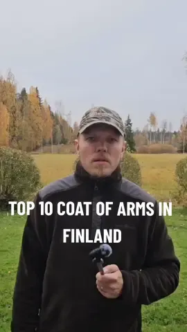 Last one is a real wtf moment. These coats of arms are not lacking in imagination. #finland  #vaakuna  #coatofarms  #humour  #suomi  #inari  #naantali  #isokyrö  #kuivaniemi  #orimattila  #laitila  #joroinen  #lappeenranta  #hirvensalmi  #keminmaa  #martykaine 
