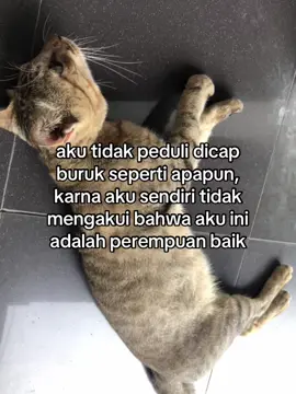 pendapat masing’