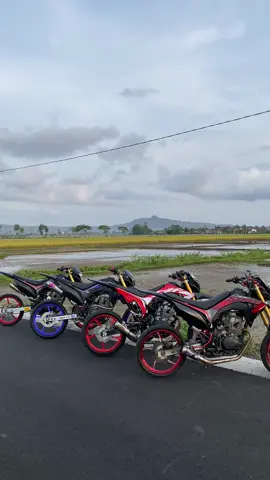 spek yali yali #surex #surexgank🔥 #tulungagung 