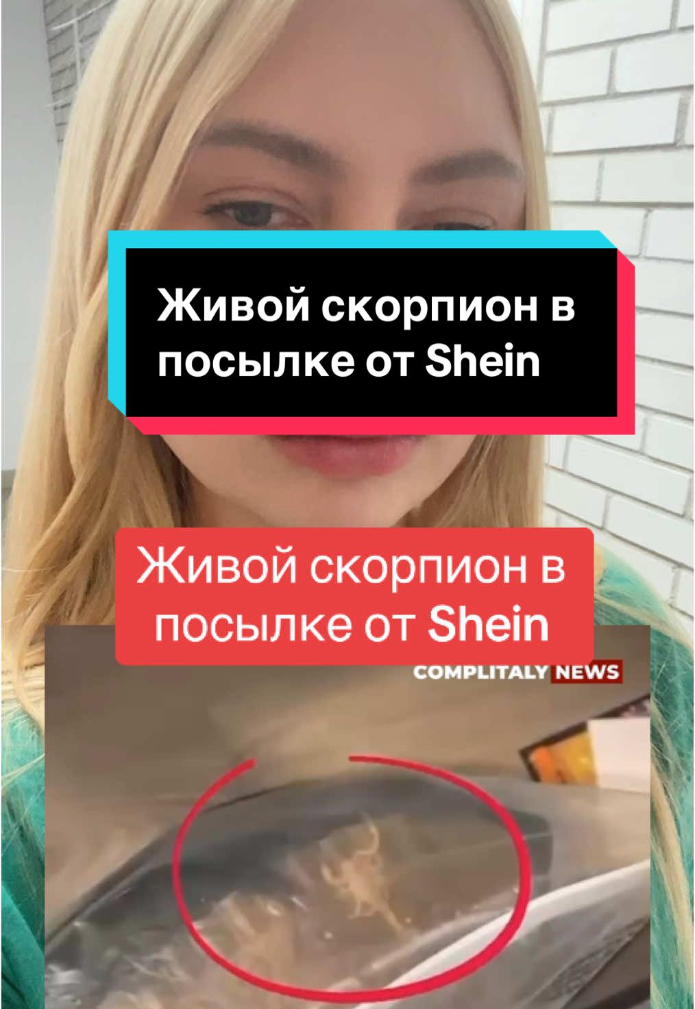 Живой скорпион в посылке от Shein #берегитесебя #шеин #скорпион #shein #sheinscorpion #украина🇺🇦 #украинцы #рекомендации✅ #беженцыизукраины #врек #украина #украинцывамерике #украинцыповсемумиру #украинцывгермании #украинцывпольше #беженцывгермании #беженцывпольше #русскиевгермании 