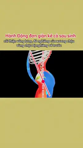 sau sinh thường rất hay bị võng lưng xương chậu nghiêng về trước một hành động sẽ giúp mn giải quyết tình trạng trên #giamcan #giamcanantoan #giammobung #yoga #yogatainha 