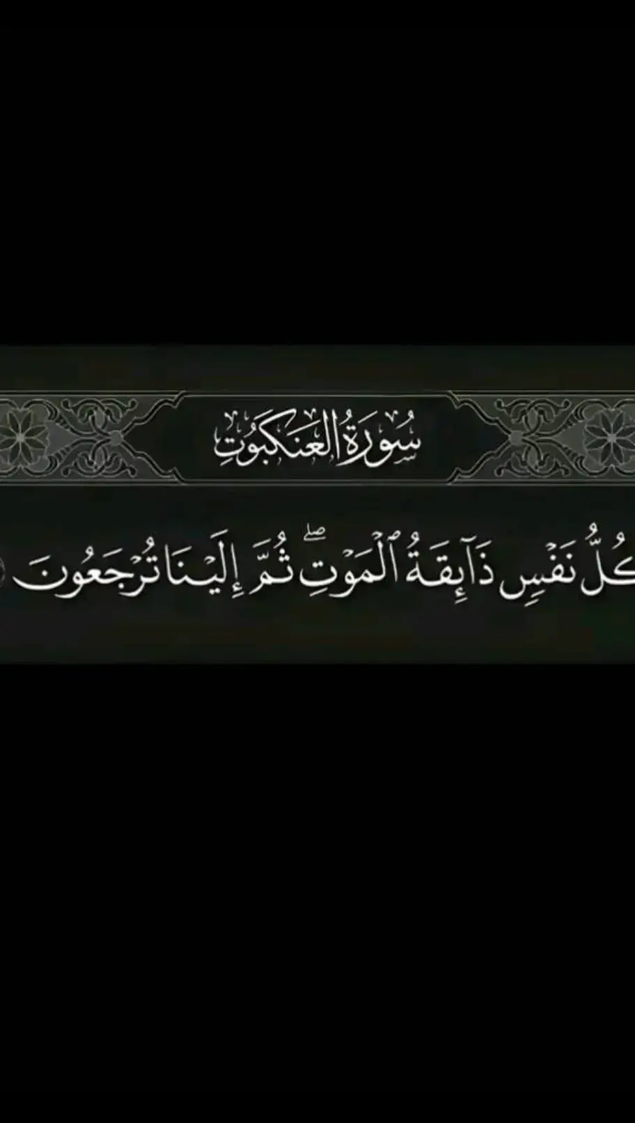 🥹 #قرآن_كريم #الحمد لله دائماً وابداً #سبحان #الله_اكبر #الريتش_في_زمه_الله #حلات_واتساب funnyvideos #fyp #tiktok_india # حلات_واتس# ارتش_واقع #حلات #Caput #viraltiktok # #شعب_الصيني_ماله_حلو #fyp #vairal #المتحدث_الرسمي_باسم_العظمه_جو #تصاميم #العراق  #المتحدث_الرسمي_باسم_العظمه_جو fyp #explore #‏