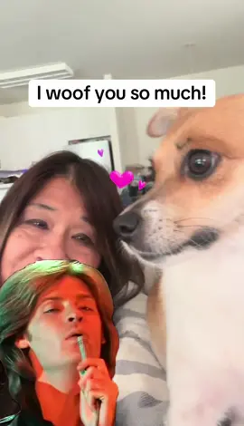 #MemeCut #woof #dogmom #jackrussellsoftiktok #creatorsearchinsights #fyppppppppppppppppppppppp #MemeCut #Meme #MemeCut 