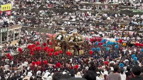 #灘のけんか祭り #2024 #妻鹿 #中村