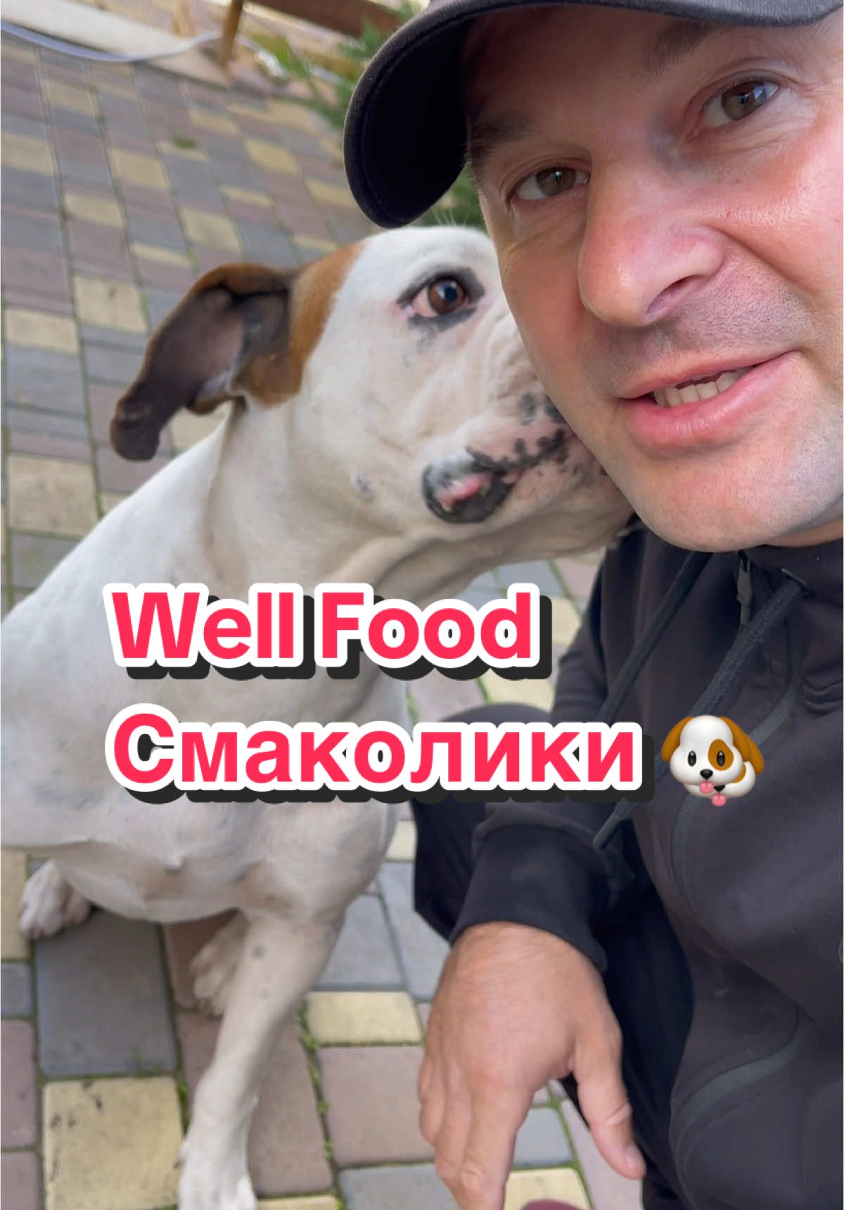 Смаколики для наших домашніх улюбленців, від наших друзів Well Food 😉 @WELLFOOD корм для собак та 🐈  #собака #немецкийбоксерсобака #кормдлясобак #wellfoodкорм #рекламавтикток 