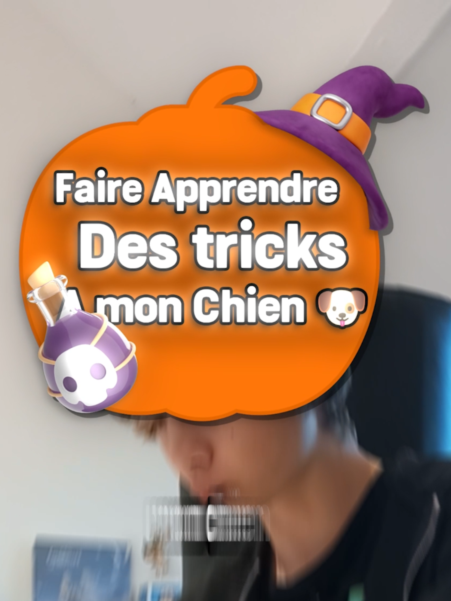Grave Smart ce Chien !