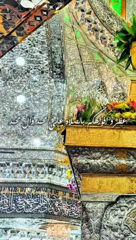 #اللهم_صل_على_محمد_وآل_محمد #العراق #كربلاءالمقدسه #النجف_الاشرف #العتبة_العلوية_المقدسة #تصميمي #اكسبلور #الجميع_ثابت #مشاهير_تيك_توك_مشاهير_العرب #الشعب_الصيني_ماله_حل #بصره_بغداد_ميسان_ذي_قار_كل_المحافظات #الخليج_العربي #كردستان #تصويري #مشاهدات #foryou #foryoupage #fyp #viral #viralvideo #العراق #لبنان #مصر🇪🇬 #الدول_العربيه #عمان #السعودية #
