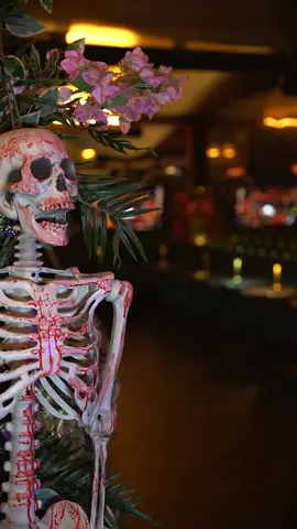 It's getting spooky at @Syon Lounge this month 🎃👻💀 They're holding events throughout the month so make sure you're following West London's hottest shisha spot @syon.lounge to stay updated! Video by Instagram users @shotbymani_ @zainography.co