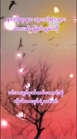 #thinkb4you #foryoupage #foryou #fy #fyp #tlktok #သီချင်းလေးကြိုက်လို့ #အသဲလေးတော့ပေးသွားနော်😍 