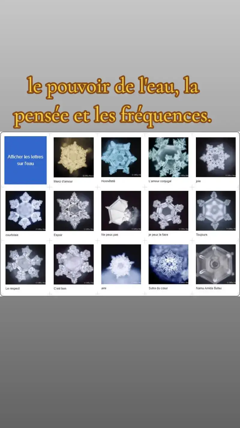 Sachant que le corp est constitué d'environ 80% d'eau et que l'eau a une mémoire. en effet l'eau agit a la pensée. sa molécule se modifie selon l'état émotionnel de la personne. il est fortement déconseillé d'avoir des pensées négative aussi bien pour son bien être physique que mental. tu es ce que tu penses ou ressens. avant de boire penses amour ou ai une pensée positive et un miracle se produira. il en va de même pour les fréquences d'où l'importance du genre de musique que l'on écoute et de sa fréquence.