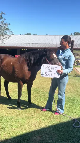 **Western edition** I may can’t threaten with an ipad but I can surely threaten her with her pony!! 🤣 . #doublediamondequine #veterinarian #kitannie #polly #westernlifestyle #vetlife #horses 