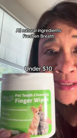 #brushingdogsteeth #howtocleandogsteeth #fyp #teethwipes #PetsOfTikTok #dogs #falldealsforyou #tiktokmademebuyit #creatorsearchinsights