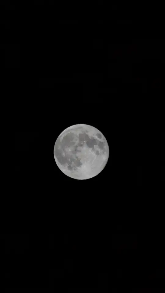 🌕Canon EOS 70D, ISO 200, 300 mm, F5.6, 1/1250 s
