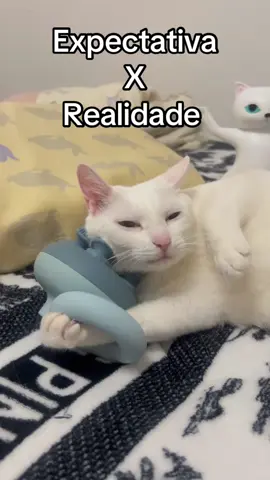 Você compraria? Vou deixar o link disponível na minha bio #gatos #felinos #gatostiktok #massagem  @familiapets5  @familiapets5  @familiapets5 