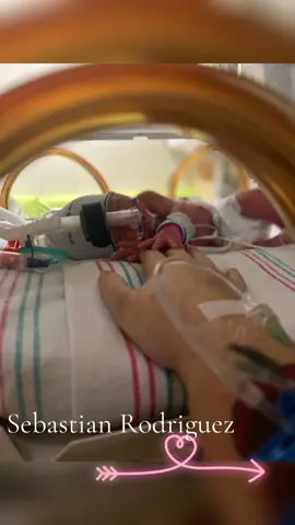 God gave us as a you and couldn’t believe the challenge you had to go through, i am so proud to be your mama and so proud of you mi vida 🩵  #baby #babyboy #preemie #cantbeliveyour2 #2years #son #family #MomsofTikTok #fyp #fypシ #family #29weekspreemie #Love 
