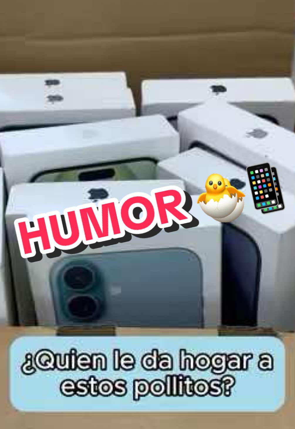 Necesitan un hogar 🥹 🐣 #humortiktok #pollito #celulares #iphone #comedia #fyppp #creatorsearchinsights #adoptado 