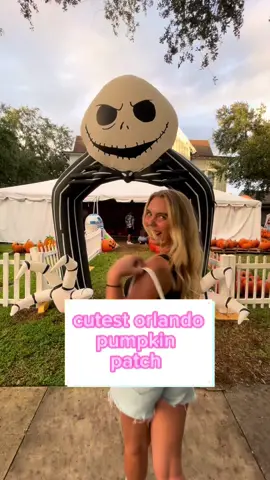 📍511 celebration ave  #orlando #orlandoflorida #orlandofl #orlandolocal #florida #celebration #celebrationfl #thingstodoinorlando #disneyhalloween #disney #distok #disneylocal #disneymagic #disneylove #halloween #pumpkin #pumpkinpatch #pumpkinpicking #spookyseason #pumpkinpatchoutfit #pumpkinpatch🧡 #mickeypumpkin 