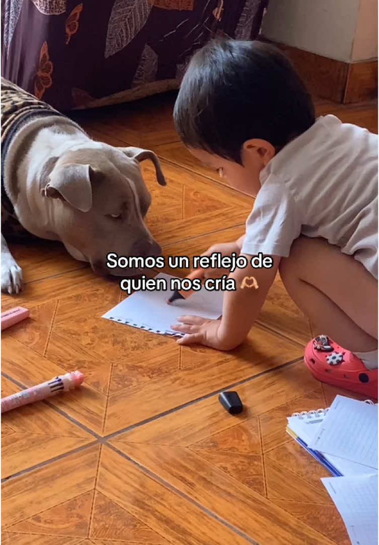 ❤️ #fyp #petlover #mascotastiktok 