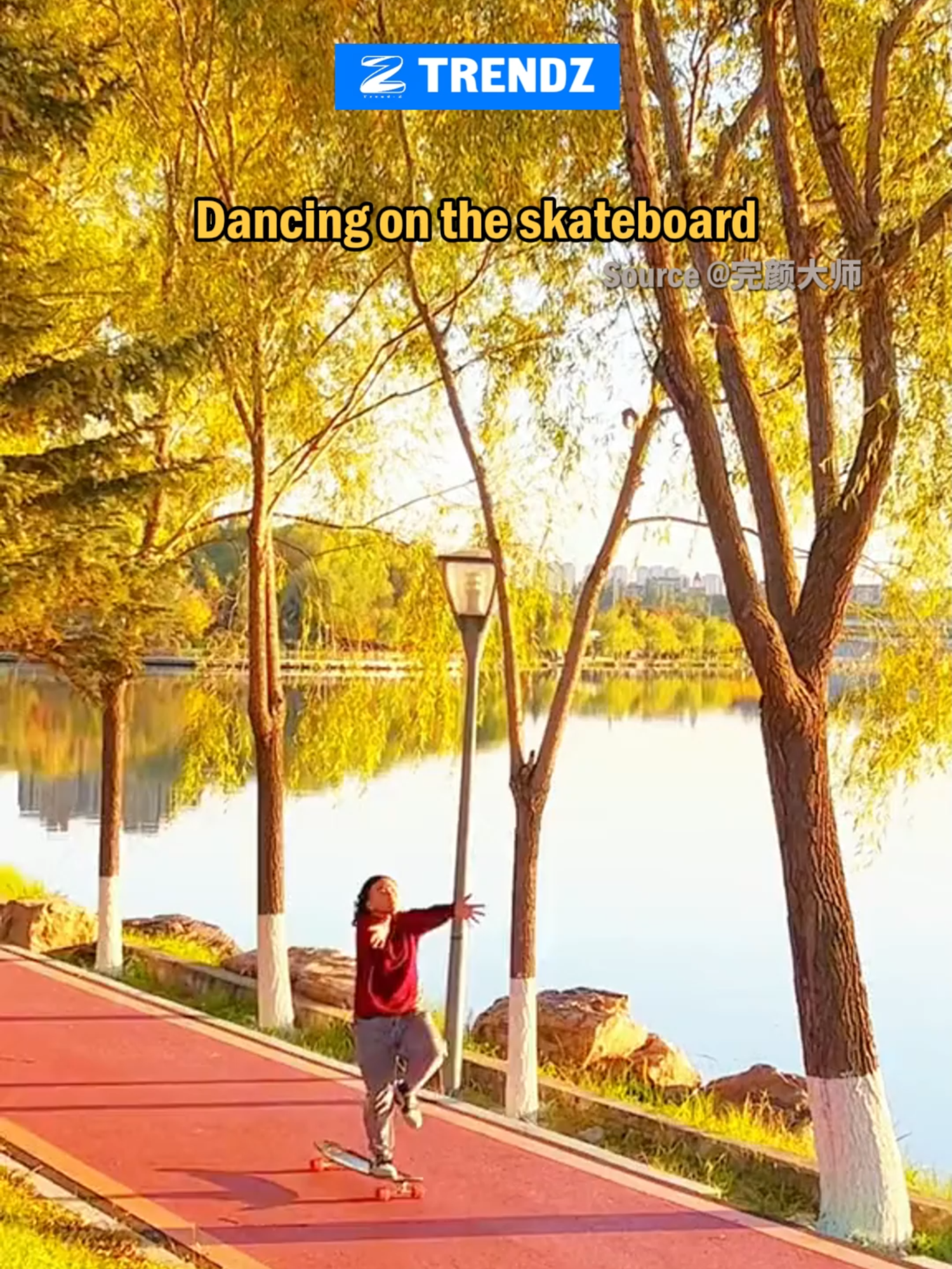 Dancing on the skateboard #dance #skateboard #funny