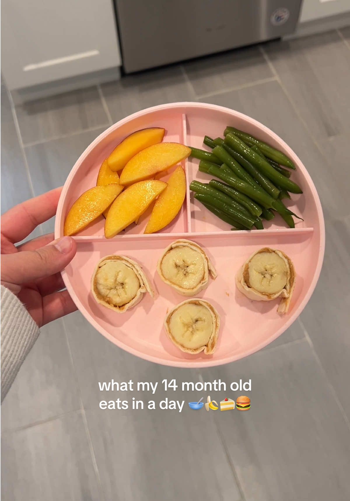 everything my 14 month old eats in a day🥣🍌 #wmkeiad #14monthsold #babyeating #babybreakfast #babylunch #babydinner #babysnacks #toddlerfood #toddlerbreakfast 