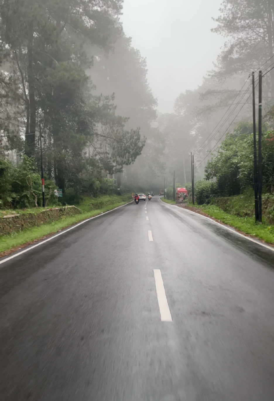 Rindu suasana cikole seperti ini 😶‍🌫️ . . . 📍: Cikole, Lembang, Bandung #cikole #cikolelembang #lembang #lembangbandung #bandung #fyp #kabut 