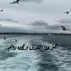 #يجوعنا_الشرف_ونگلة_دايم #شعر #دعاء #قصيده #الاخ #friday #يوم_الجمعه_خيرا_من_كل_يوم #اذكار_الصباح_والمساء #صلوا_على_رسول_الله #goodmorning #يوم_الجمعه #صلاة_الضحى #صباح_الخير #noody9144 