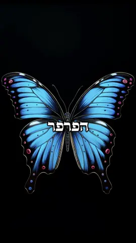 האיש החכם והפרפר 🦋 שבת שלום 🙏🏼 #מוטיבציה #מוטיבציהלחיים #השראה #שבתשלום #פוריו #פוריוישראל #פוריוווו #פוריווו 