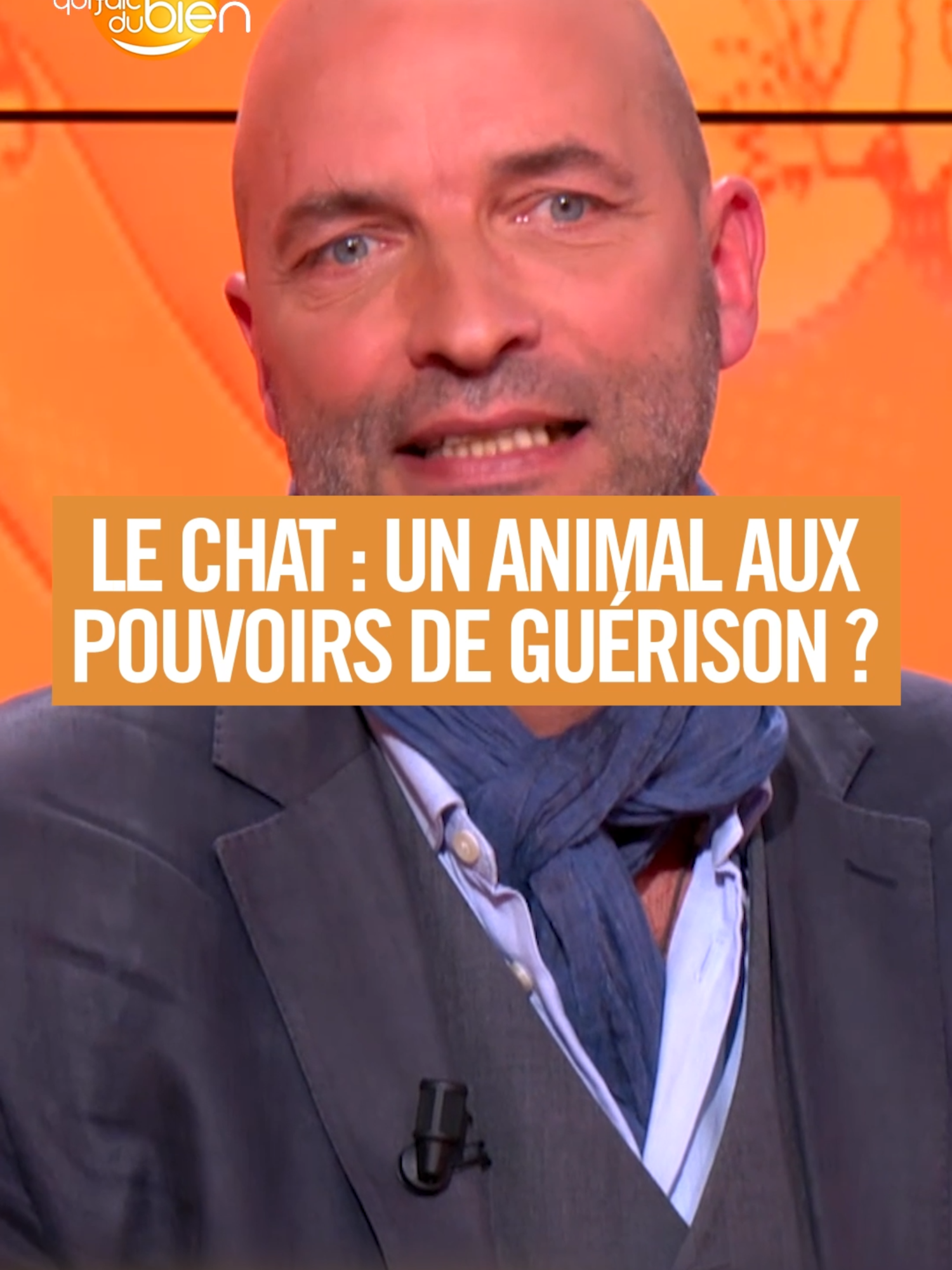 Les chats ne sont pas de simples animaux de compagnie, ils possèdent un pouvoir apaisant unique. #LeMagQuiFaitDuBien, dimanche à 10h sur C8 !