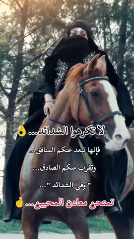#إكسبلورر #خواطر #كلام_من_ذهب 