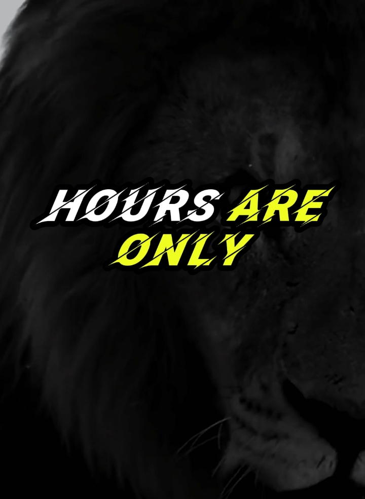 a lion's working hours are only when he is hangry #motivation #success #lion #wisdom 