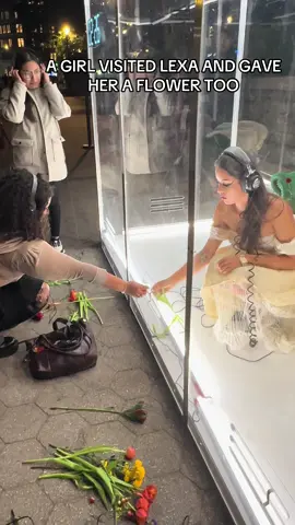 this is the cutest thing ive ever seen 🥹🥹🥹 #lexagates #nyc #nycthings #glassbox #newyork #rottentothecore #unionsquare #streetinterview #performanceart #rnb #rnbvibes #indiemusic #indieartist #marketing #undergroundmusic #brooklyn #unionsquare 
