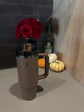 i had to!! @Stanley 1913 🤎 #fyp #fypシ゚viral #fallseason #fallcollection #espresso #StanleyCup #quencher #stanleyfallcollection #blackgirlluxury #canicallyourose #brownaesthetic #aestheticallypleasing 