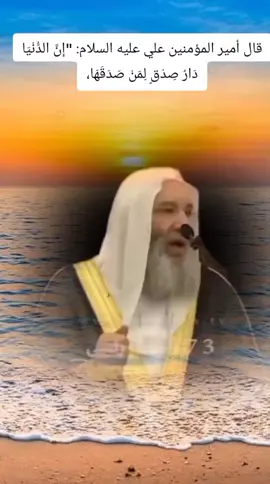 قال أمير المؤمنين علي عليه السلام: 