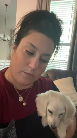 I love all you strangers! 🤪 #fypシ #minidachshund #MomsofTikTok 