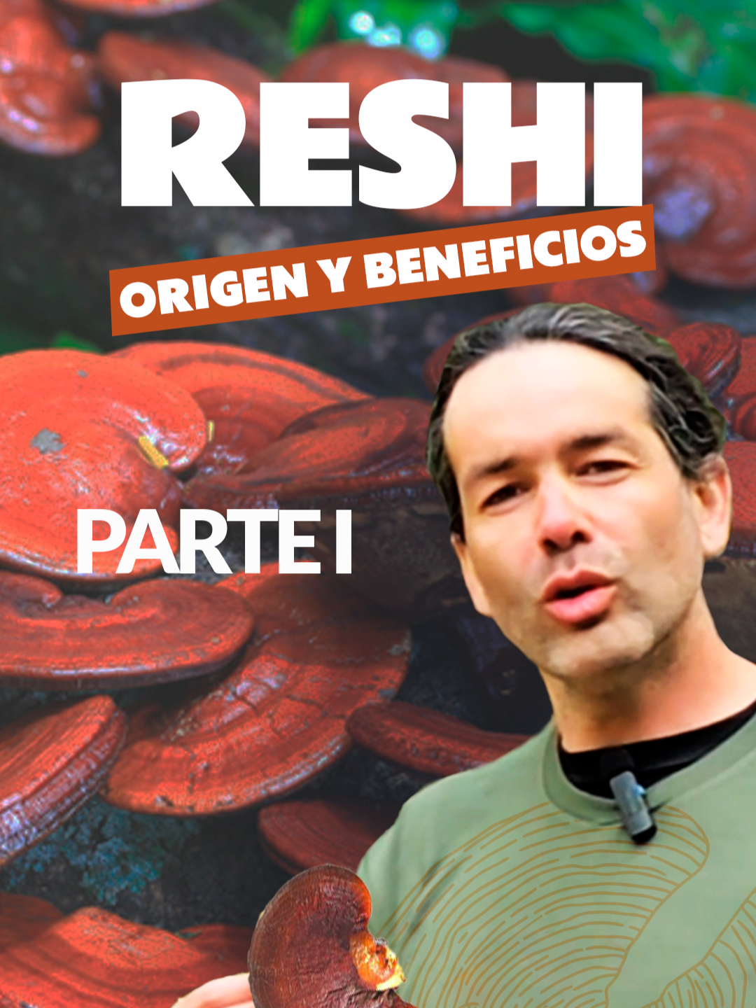 REISHI - PARTE I Conoce el Reishi, y sus beneficos.  #MundoFungi#MELENA#FUNGI