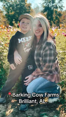 Kindergarten field trip! #kindergarten #fieldtrip #pumpkinpatch #pumpkinseason #kidsoftiktok #farmlife #pumpkinpatch #foru 
