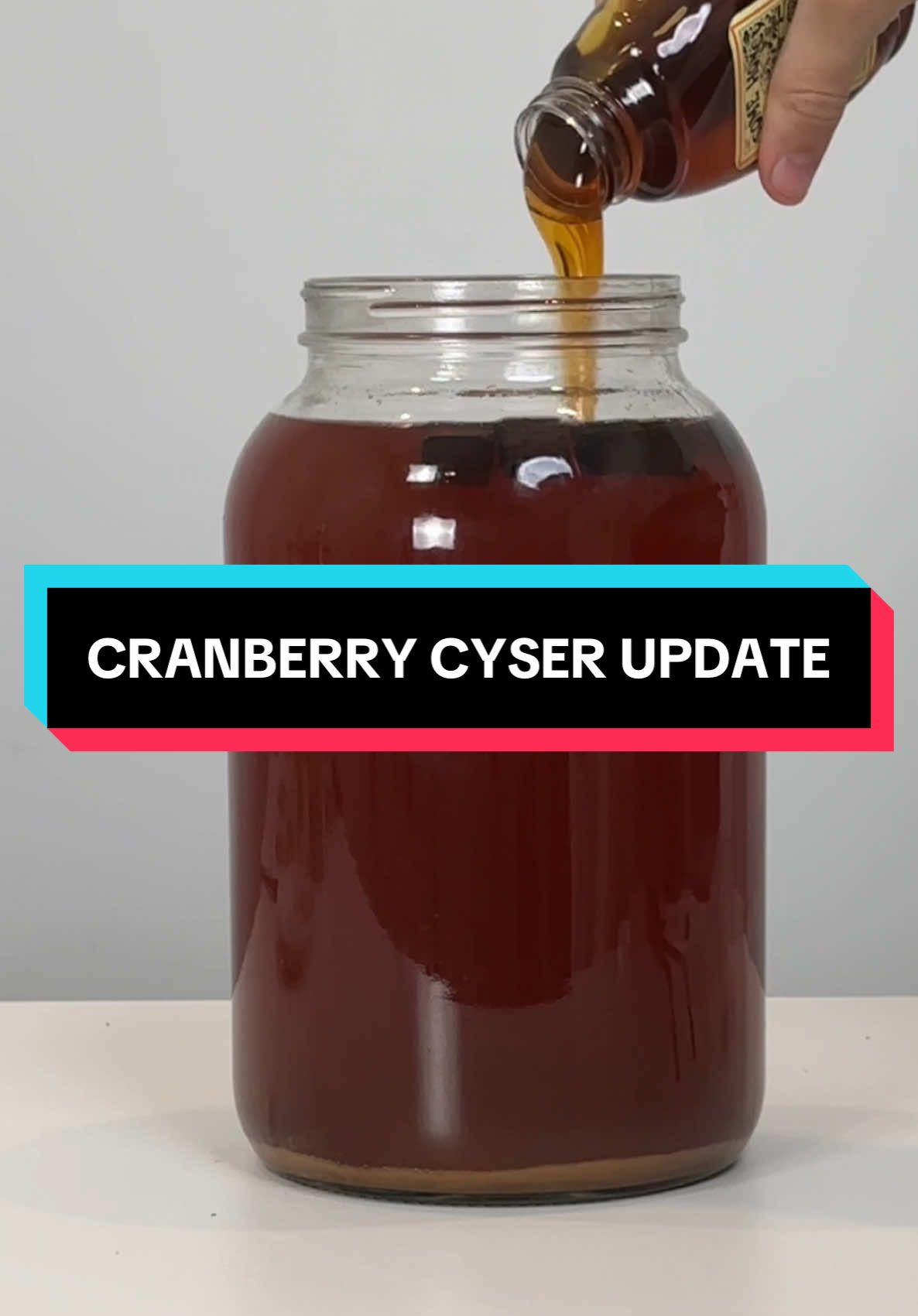 Cranberry apple mead update #mead #homebrew #homebrewing #meadtok #homemade