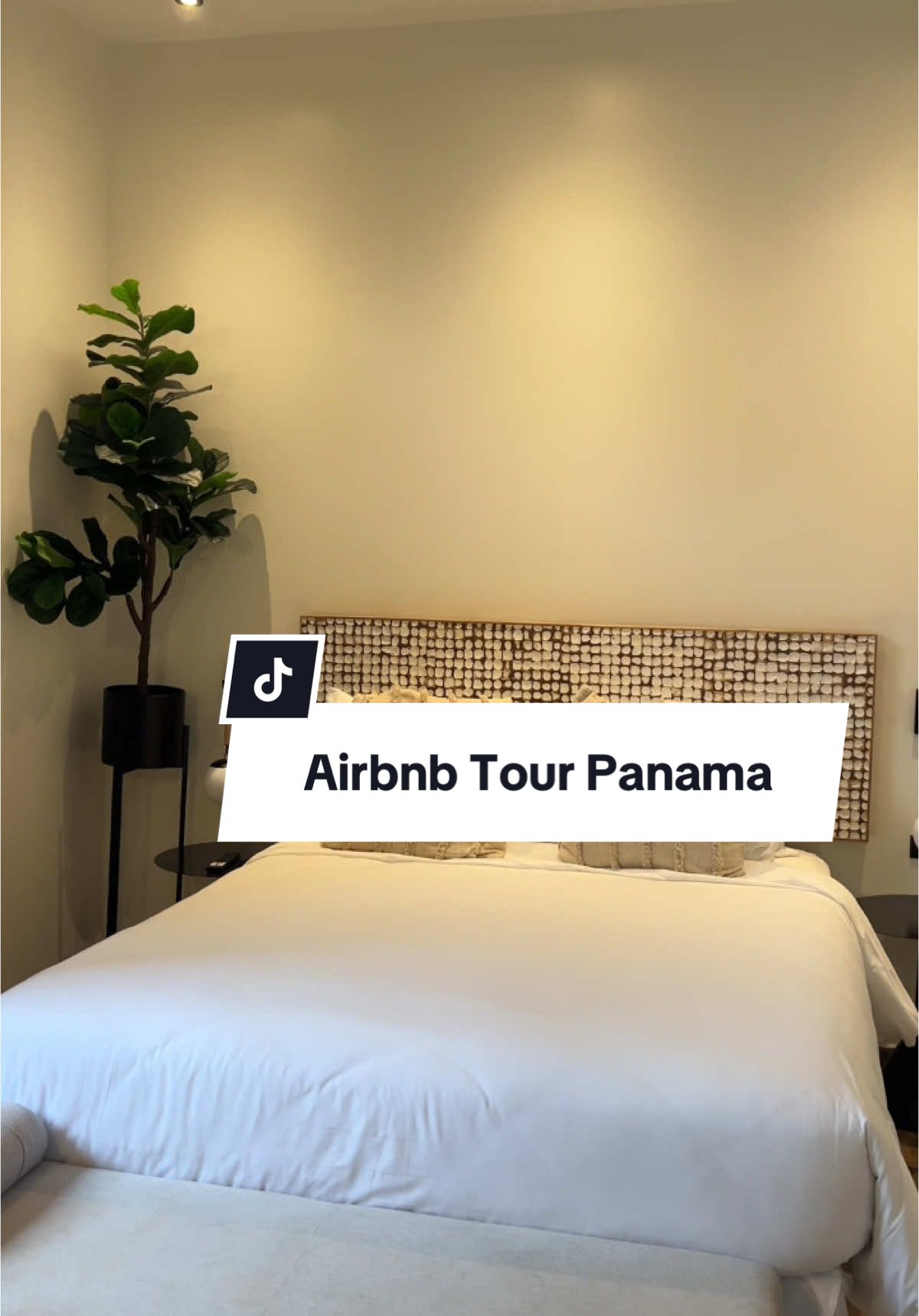 Just call me the queen b of airbnbs. The name is at the end of the video. . . . . . . . . . #airbnbtour #cascoviejo #visitpanama @airbnb 