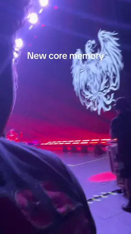 What a night. Saw my favorite band from the side of the stage. Jammed out.  Didnt get sweaty. Shook Neils hand. It was a goos night. @A Day To Remember #comedian #lasvegas #fypシ #adtr 