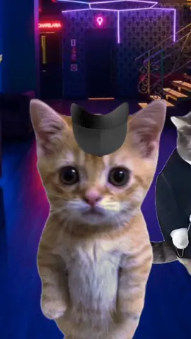 El Lokeron
