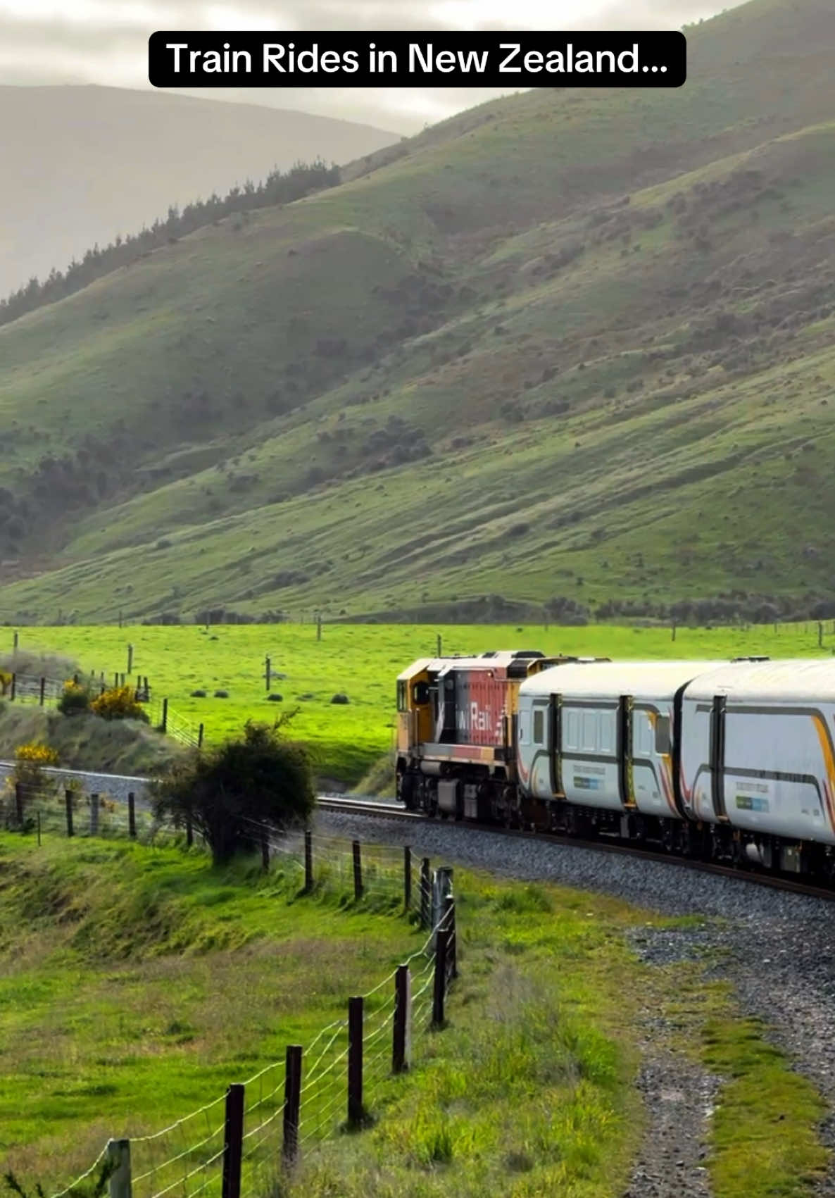 New Zealand Train Views