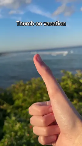 Beautiful views 👍🏼 #longthumb #fyp #vacation 
