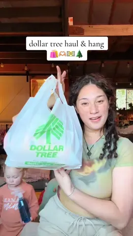 Hi 🫶🏼 lets hang out and look at my Dollar Tree haul together! I got some budget-friendly beauty goodies and fun stuff for my toddler. Who else loves dropping a random $50 at Dollar Tree? 😂🛍️✨ #fyp #dollartreefinds #bpure #dupe #toddlermom #dollartree #shoppinghaul 