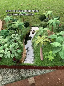 sem acreditar até agora 😍 feira do 2° ano #fyp #if #amazonia #maquete #artesanato #ensinomedio 