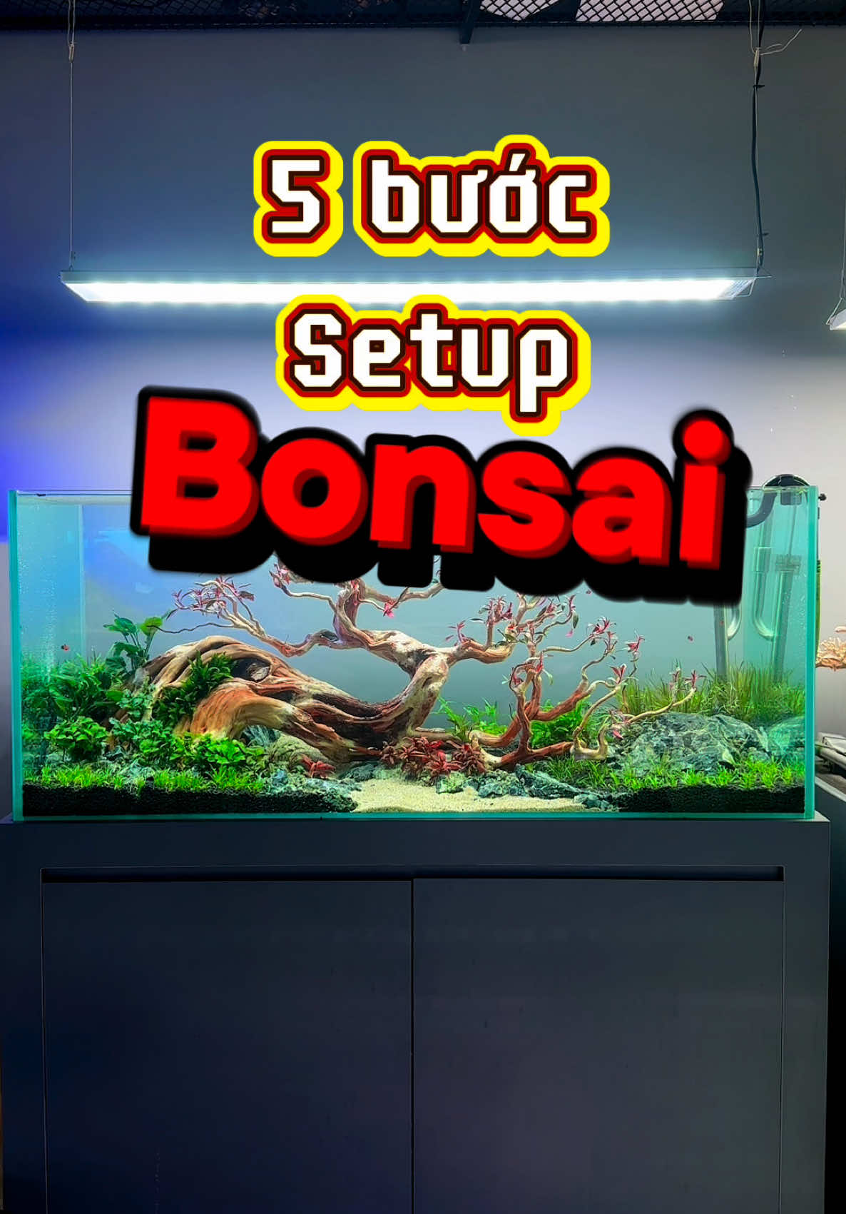 Setup hồ thuỷ sinh chưa bao giờ lại dễ đến thế. Ae cứ làm như clip là đc nha 😂😂😂 #hoca #thuysinh #aquarium #aquatic #cacanh #hocacanh #ylangaquarium 